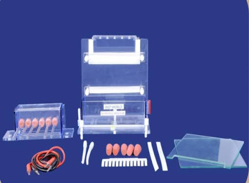 Vertical Dual Extra Large Gel System for 13 Samples (BIO 05-16)