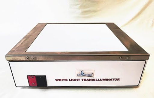 White Light Transilluminator 25x25cm (BIO 09-01)