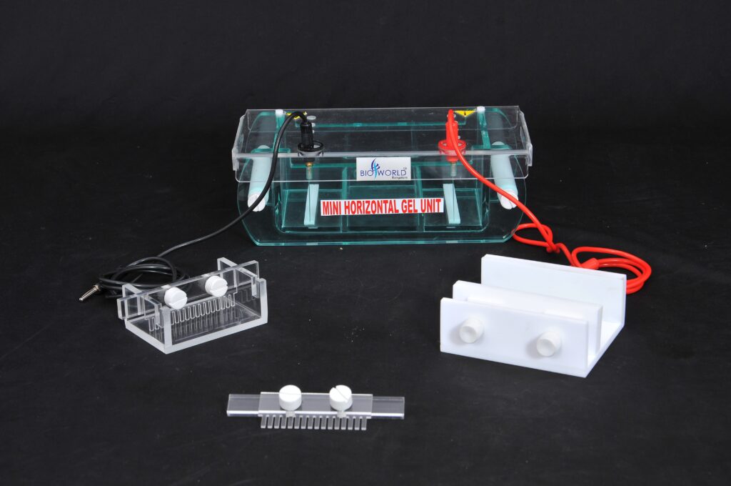 Mini Horizontal Gel Unit (BIO 03-12)-min