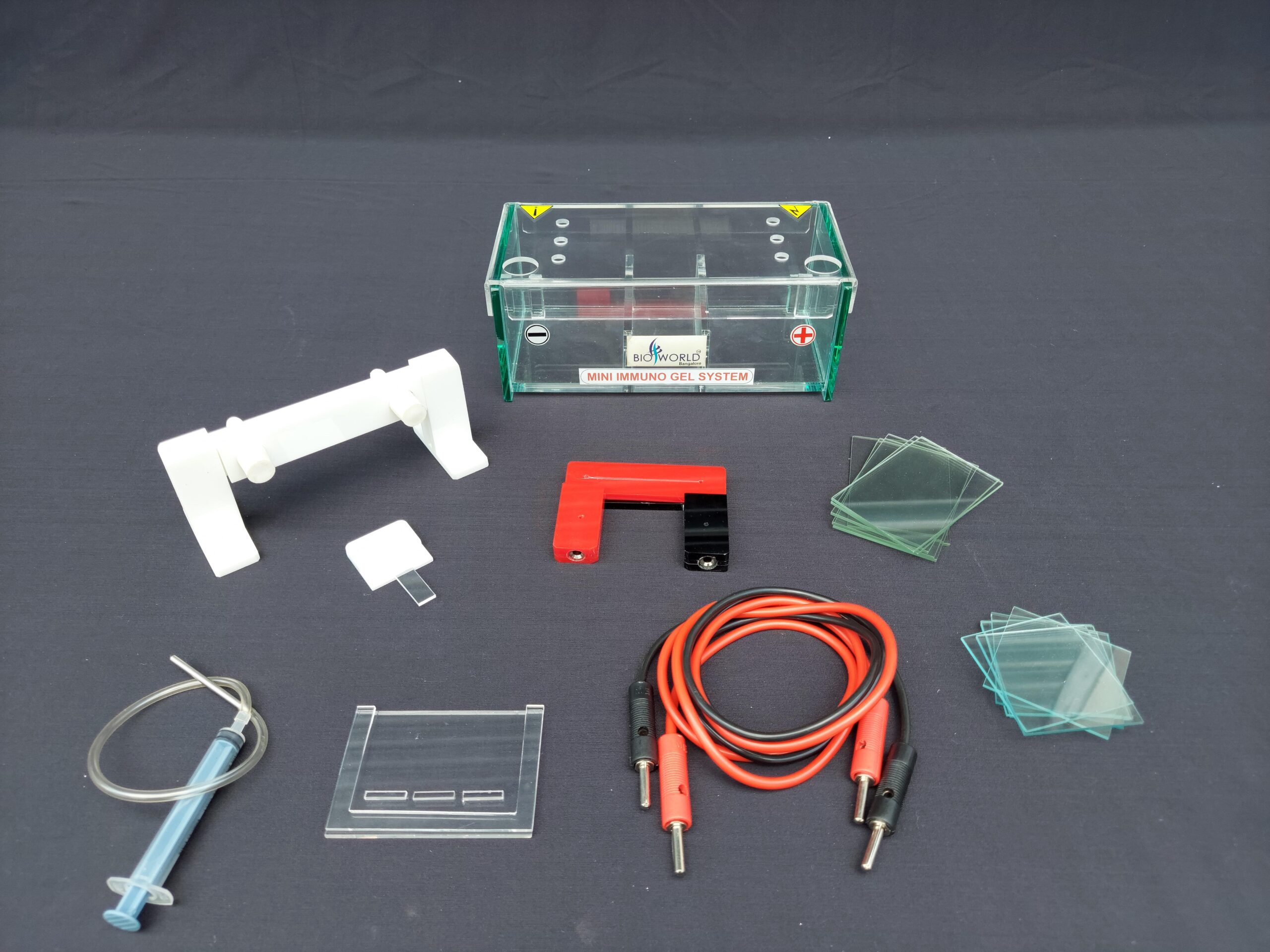 Mini Immuno electrophoresis (BIO 02-01)-min